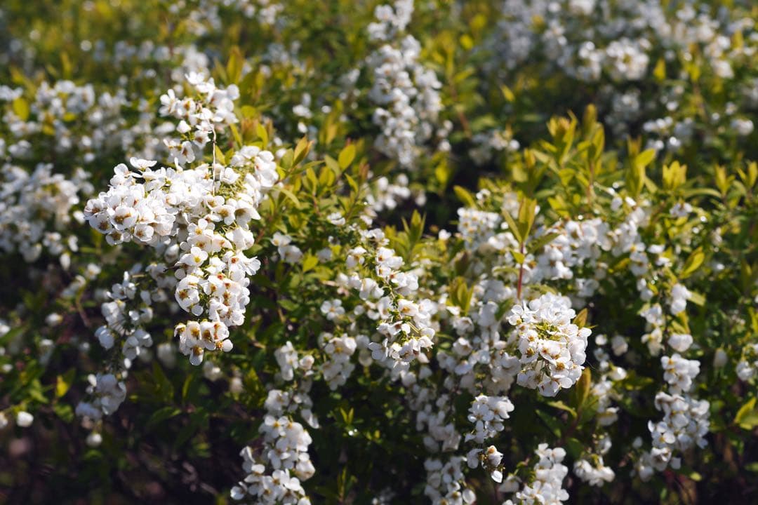 【完動品】SMC PENTAX FA★28-70mm F2.8 AL