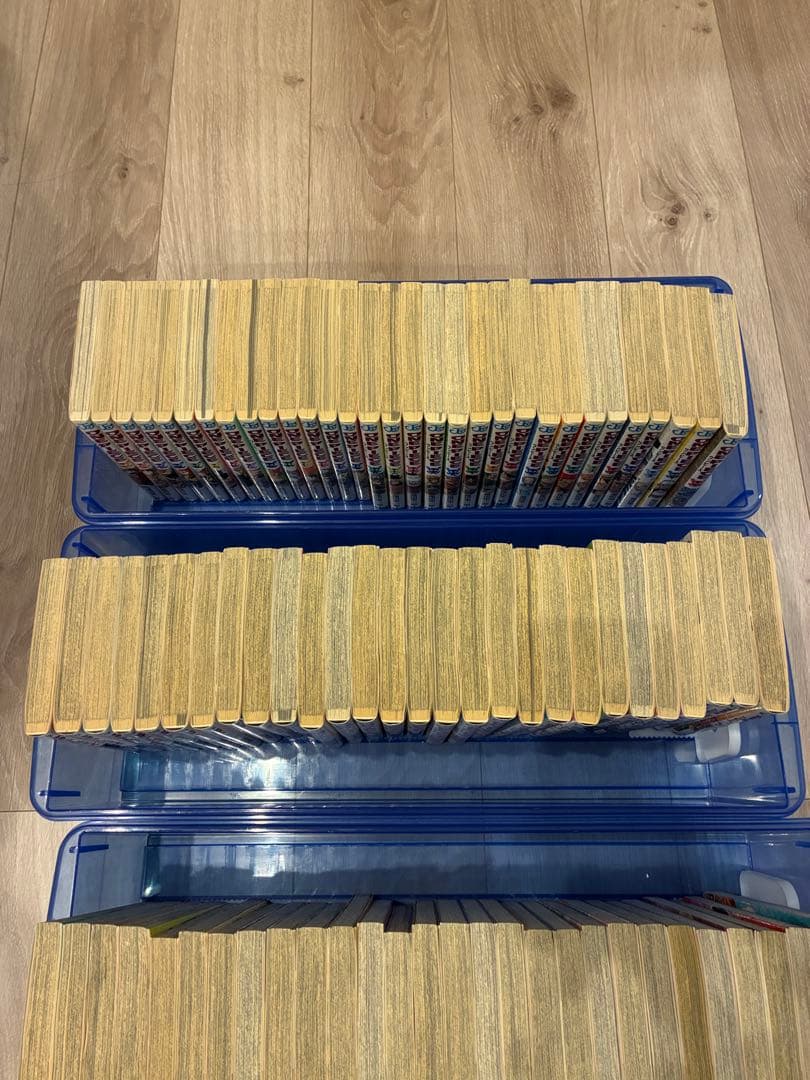 ワンピース　全巻セット（1-113巻）　ケース付き