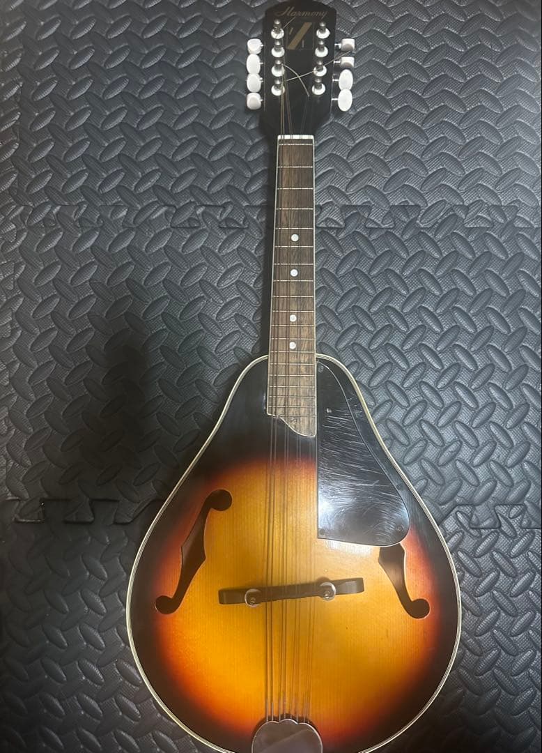 harmony mandolin フラットマンドリン 1970ビンテージ
