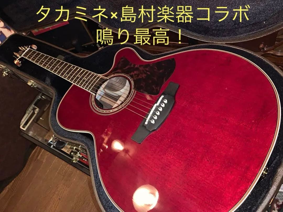 Takamine × 島村楽器コラボ DMP50S WRアコースティックギター