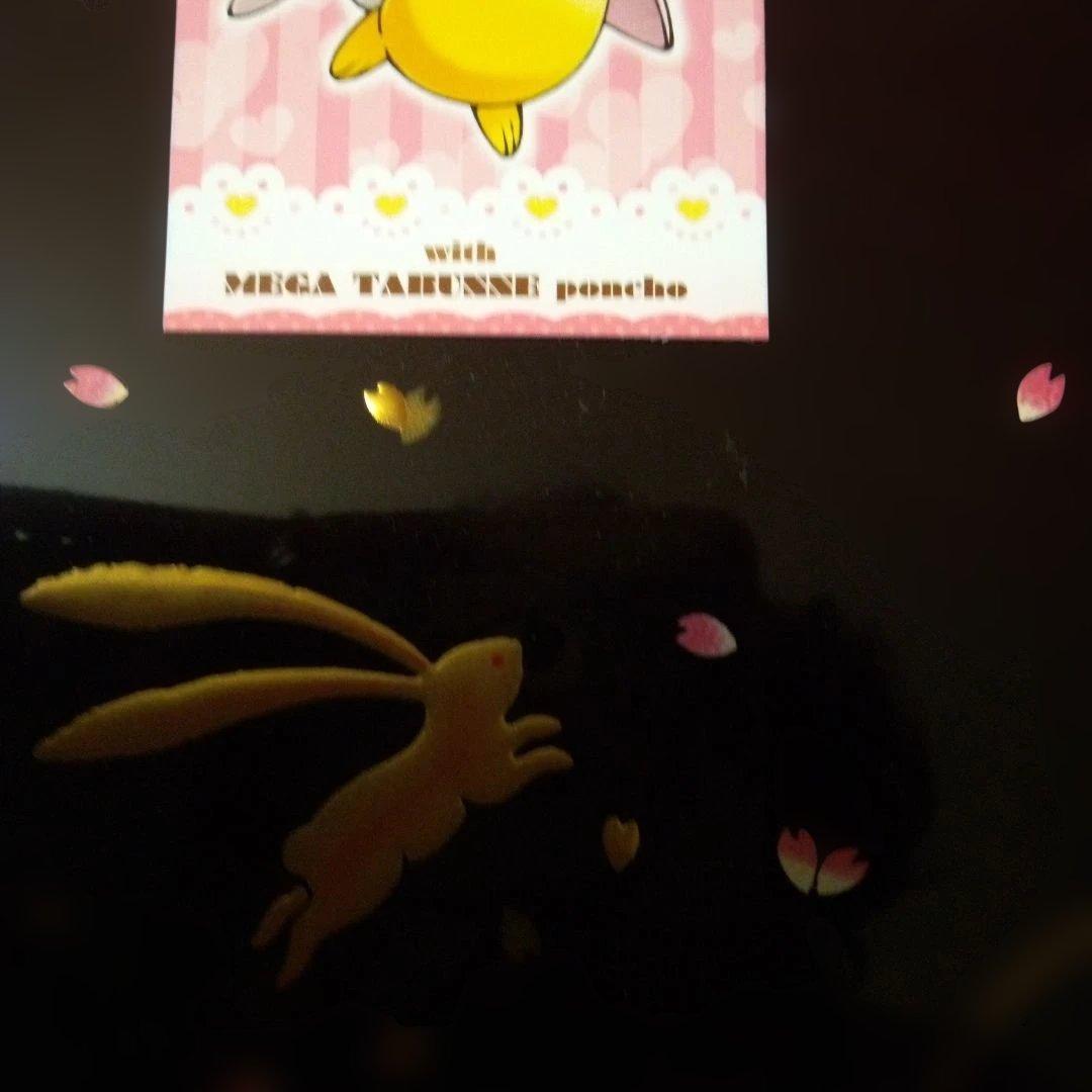 温泉様　　ピカチュウ　メガキャンペーン　名刺カード　３種　３枚