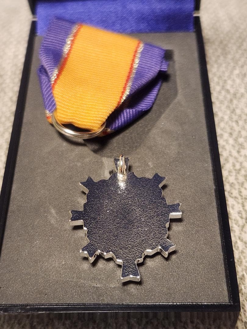 第五級防衛功労章 第15号賞詞 防衛記念章 現行タイプ