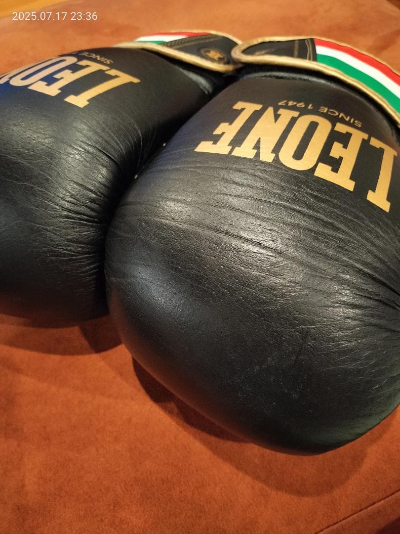 LEONE ボクシンググローブ 14oz 黒