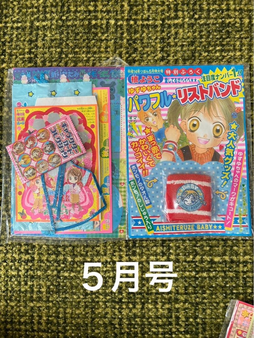 【新品未開封】りぼん　付録　平成14年お正月号〜12月号(10、11月号は無し)