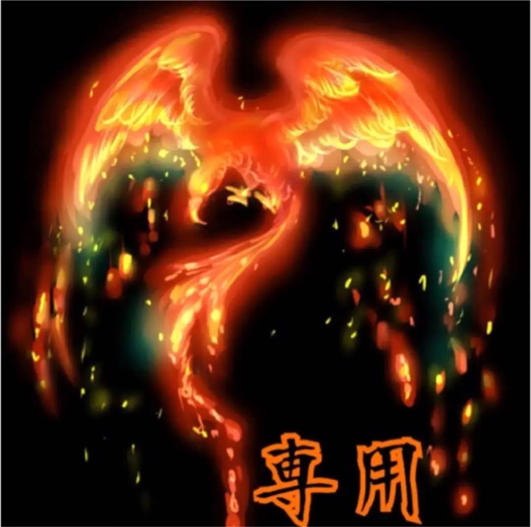 w62 四神獣 金彫 ハウライト 14mm パワーストーン ブレスレット 天然石