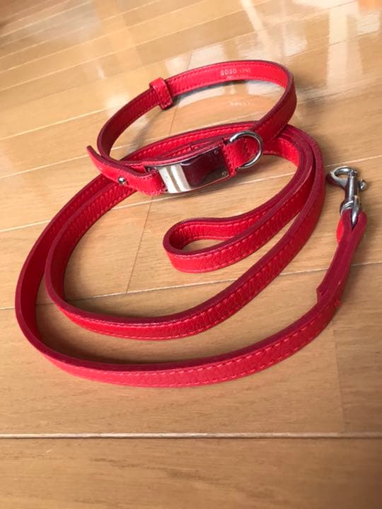 大型犬用カラー&リード