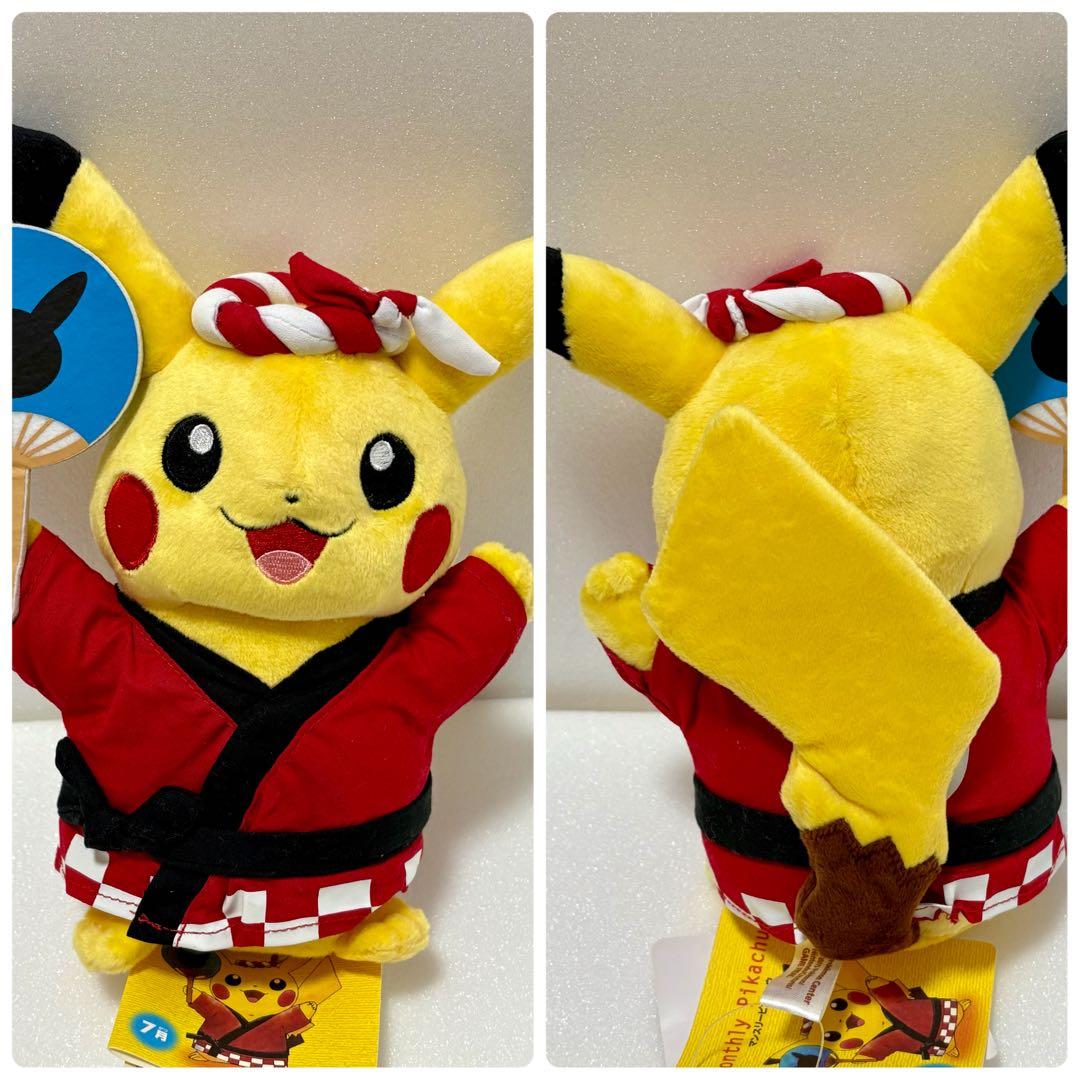 マンスリーピカチュウ　12ヶ月分コンプリートセット　全てタグ付き