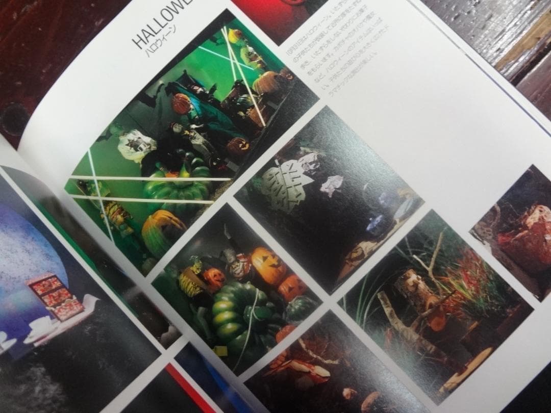 IMAGE by PER SCHMØLCHER ディスプレイ・スタイル入手困難