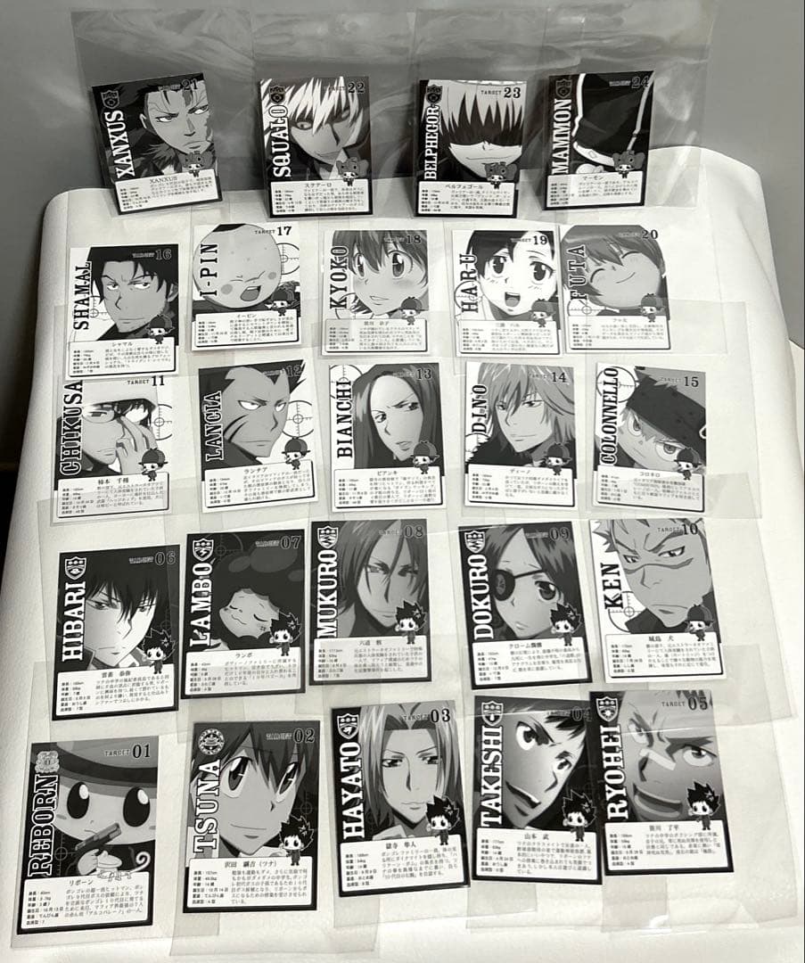 家庭教師ヒットマンリボーン キャラクターカード 24枚