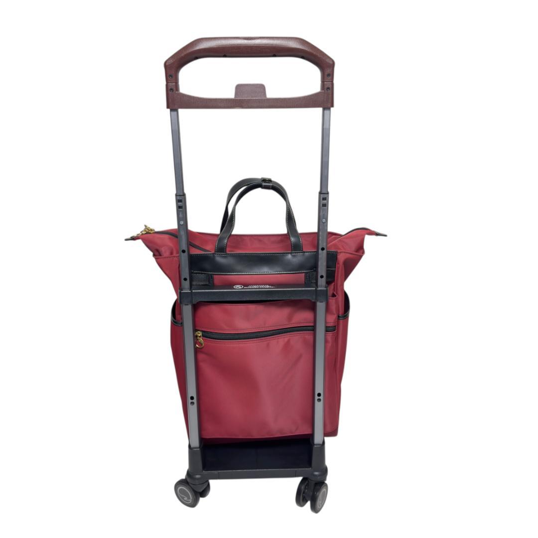 ACE ソエルテ アルディート 20L 43cm