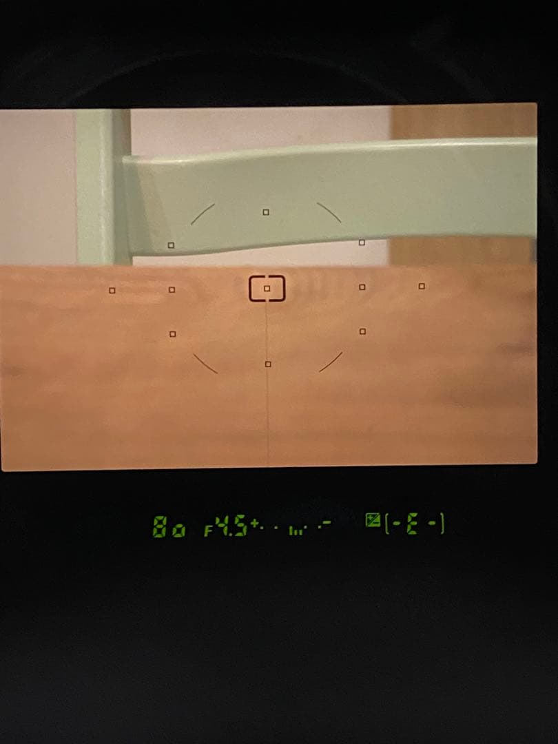 Nikon D80 ニコン　CCDデジタル一眼タムロン　28-70 動作品