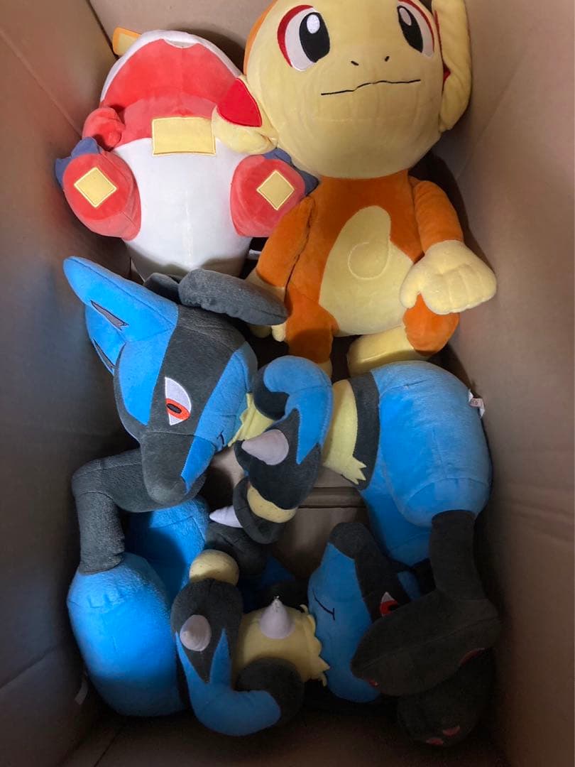 ポケットモンスター ぬいぐるみ 引退品 ポケモン 22体 まとめ売り 少年