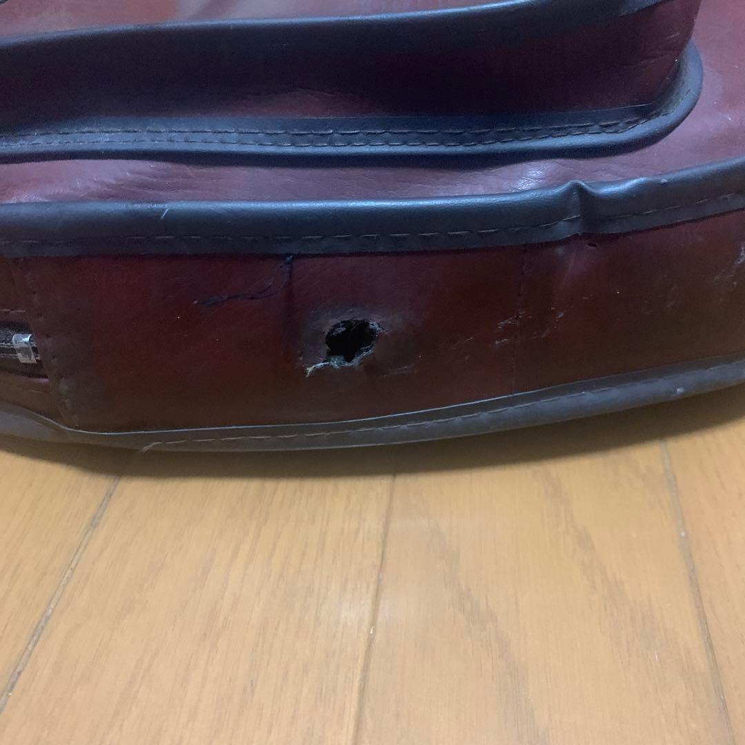 TOKAI LIMITED EDITION ストラトタイプ TST-36H