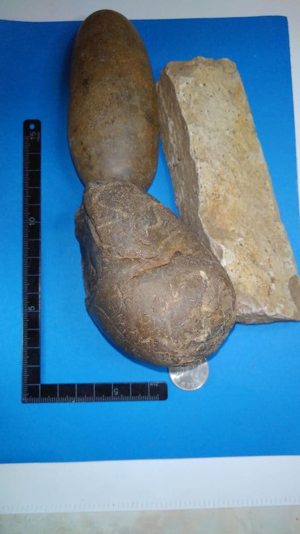 磨石(すりいし)セット　(出土品)　磨石(すりいし)2、礫器(れっき)？