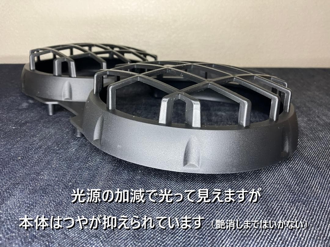 数量限定】PS250・US/Ruckus・ＢＷ’Ｓ デカ目 デュアルライトガード