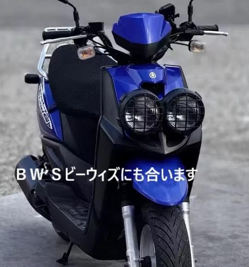 数量限定】PS250・US/Ruckus・ＢＷ’Ｓ デカ目 デュアルライトガード
