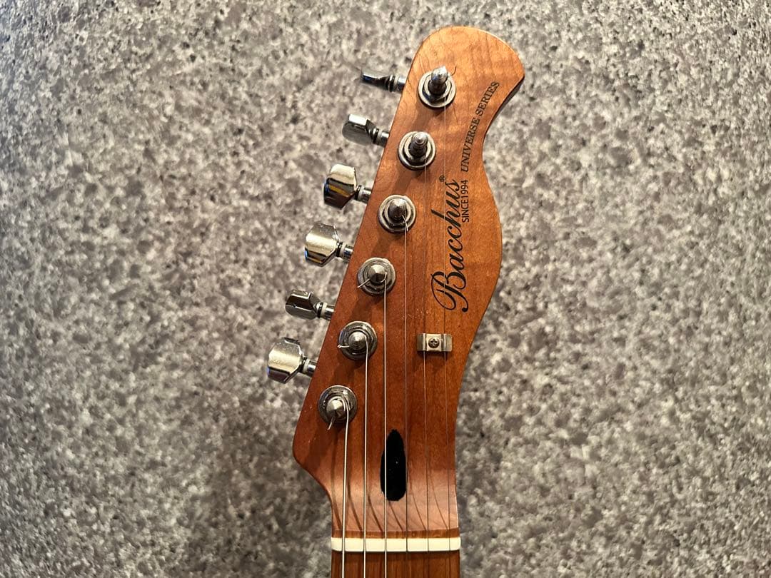 【怒犬-Dokken-】バッカス ユニバース テレキャスBTE-3改