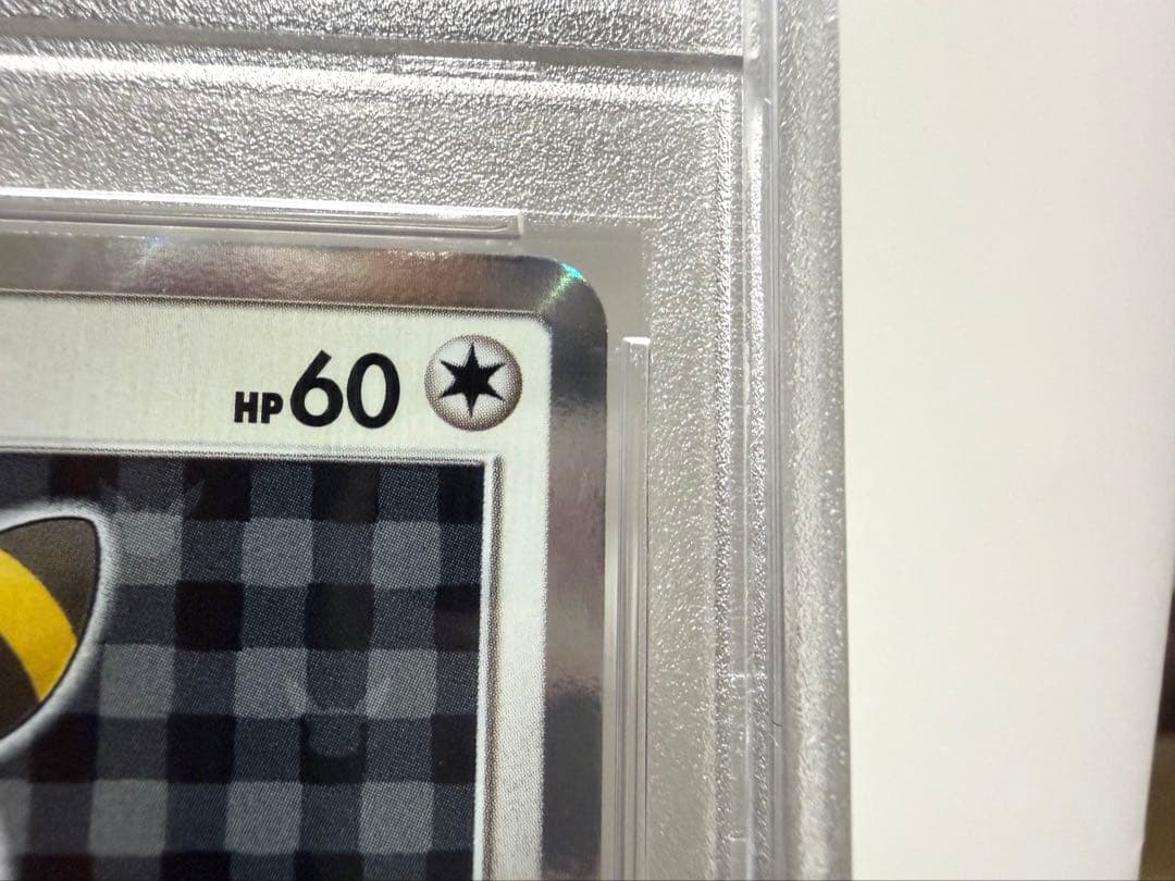 めいめいページ ポンチョを着たイーブイ ブラッキー【PSA10】