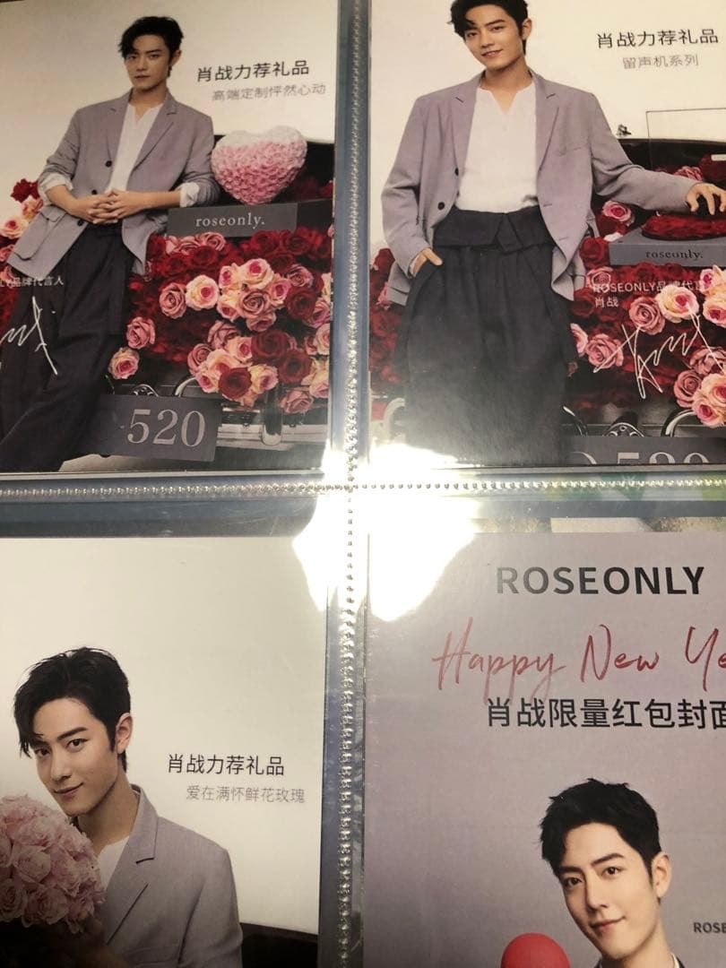 極レア　肖战 カードバインダー＋A4・ポストカード他詰め合わせアルバム　我们