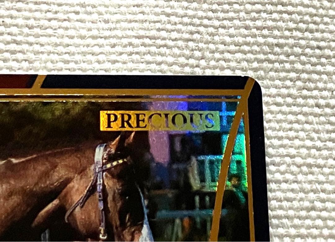 ホースライダーズ　マヤノトップガン