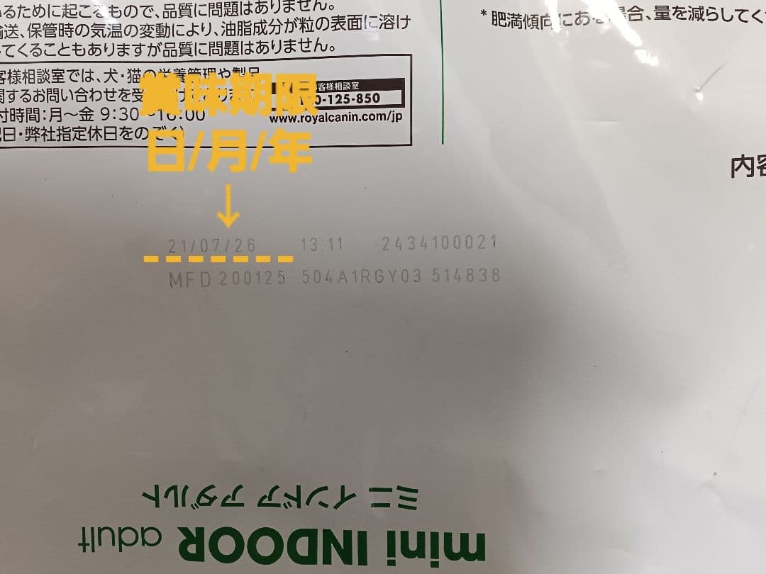 ロイヤルカナン☆ミニインドアアダルト 10kg