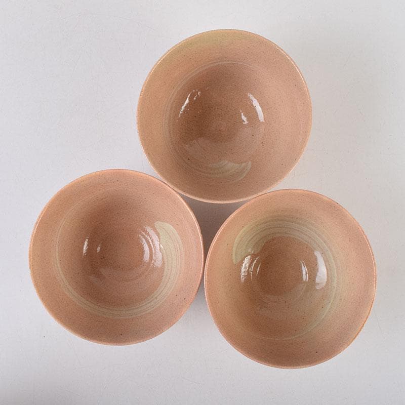 茶道具　阿漕窯　福森円二造　御本　刷毛目　数茶碗　十客　共箱　M　R9298H