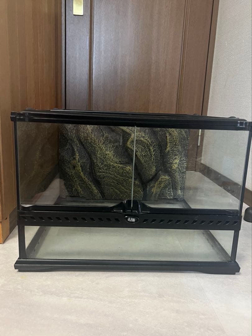 GEX グラステラリウム 4530 着払い