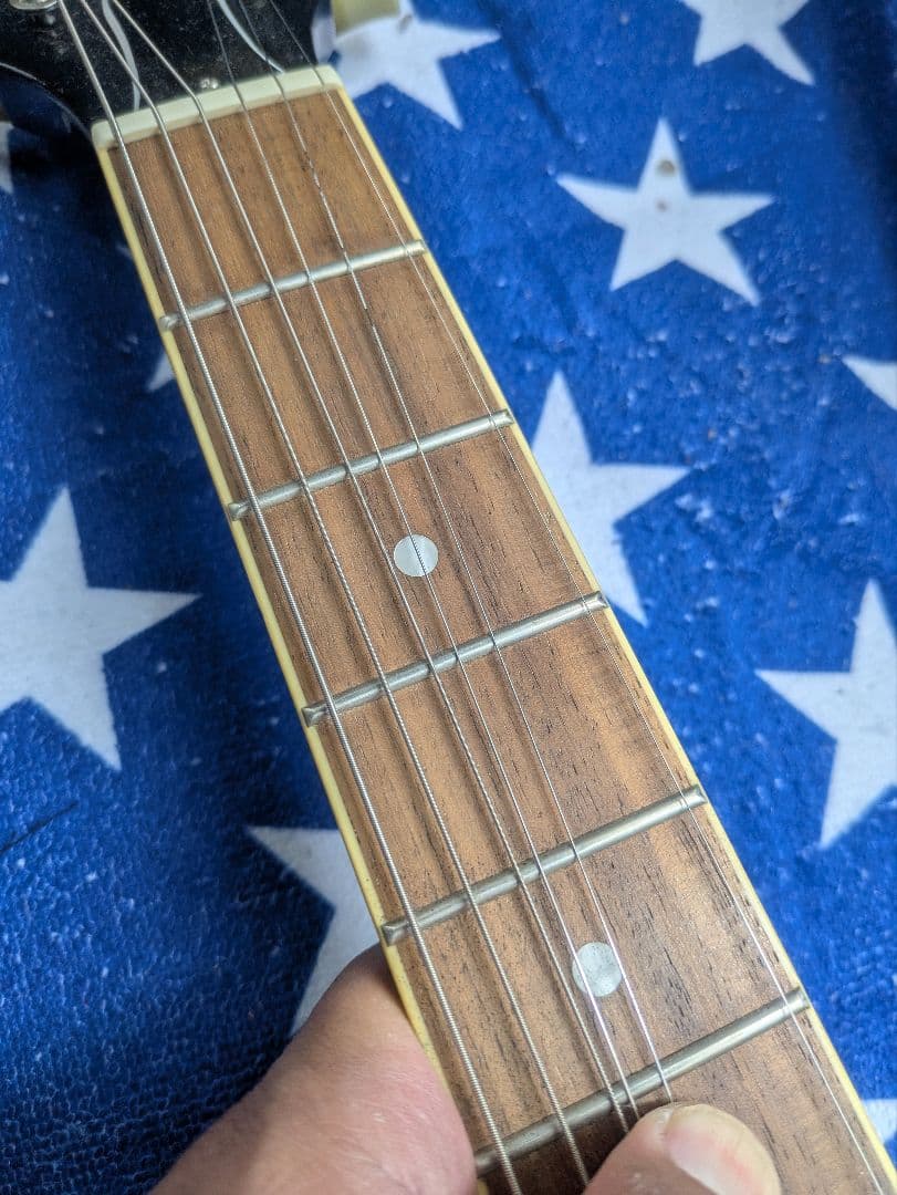 フェルナンデス／バーニー　RSA-60 セミアコ