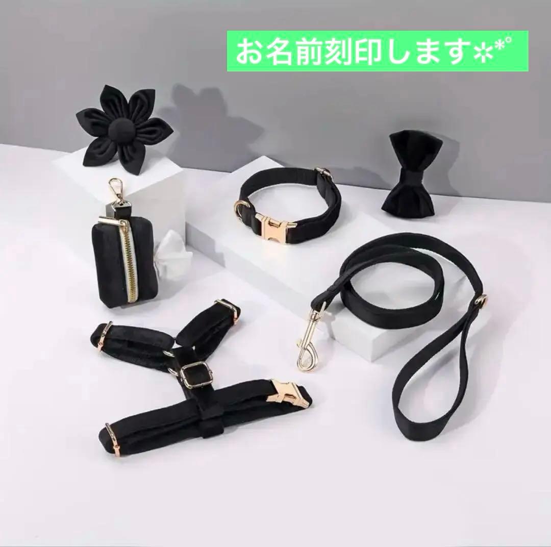 オーダー 名前 ネイム 黒 ハーネス 首輪 リード セット ブラック