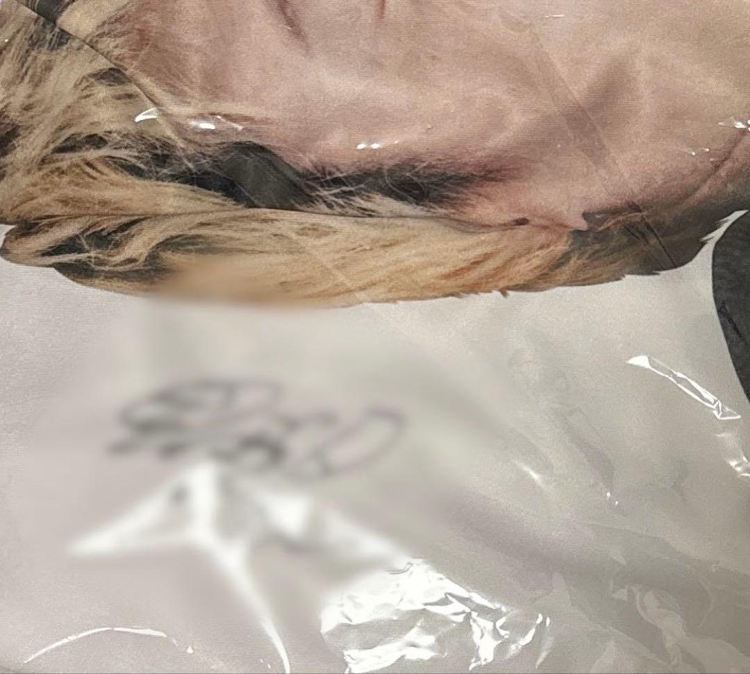 見取り図 お年玉くじ 抱き枕カバー リリー 直筆サイン入り