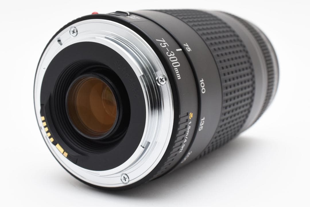 【美品】キャノン Canon EF 75-300mm F4-5.6 II USM