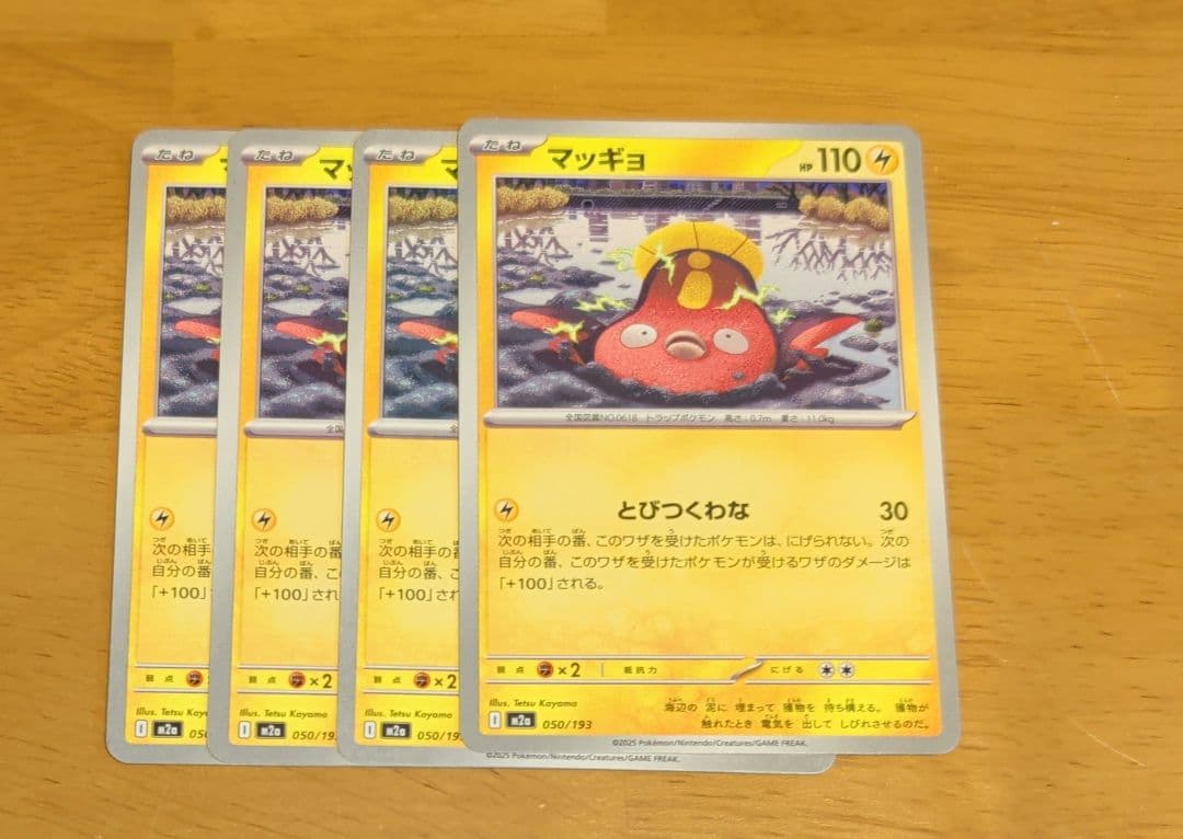 ★miyayaさま専用★⚠️他の方購入禁止⚠️