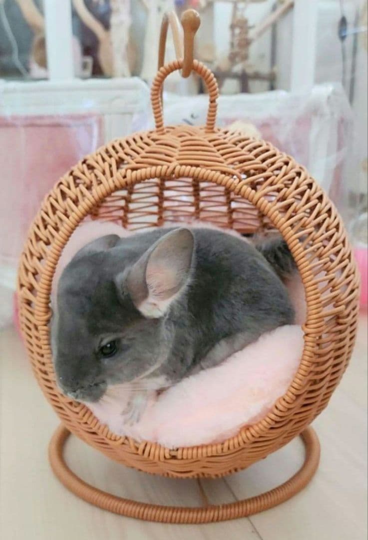 新品② チンチラ ハンキング ベッド ハウス モモンガ 小動物 子犬 ハンモッグ