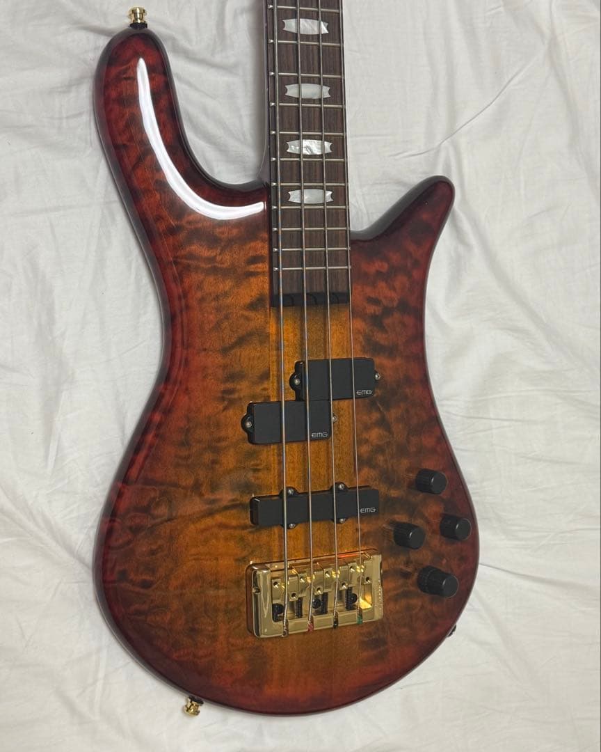 ベース Spector EURO4 LX RAS LAYER