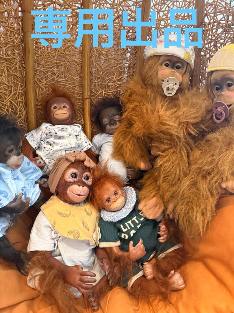 オランウータン