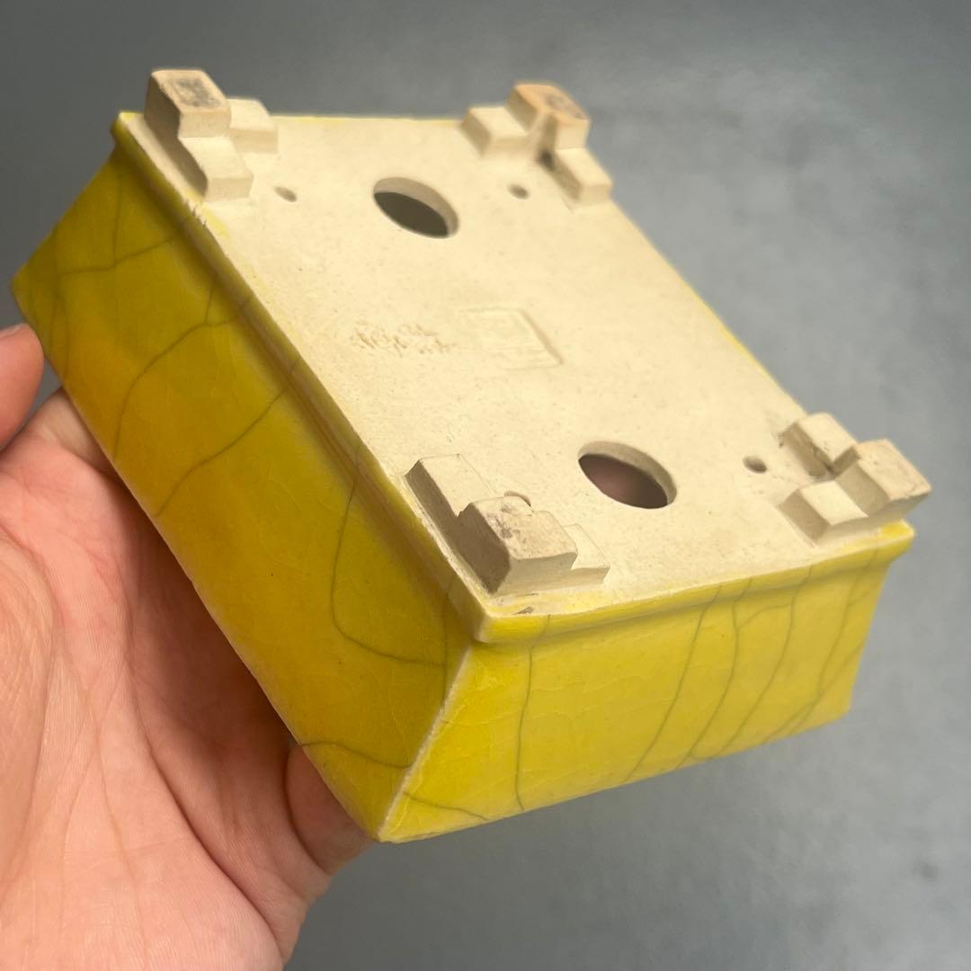 757.桂雲 黄釉段足長方 盆栽鉢 植木鉢 11.8*9.8*4.8cm