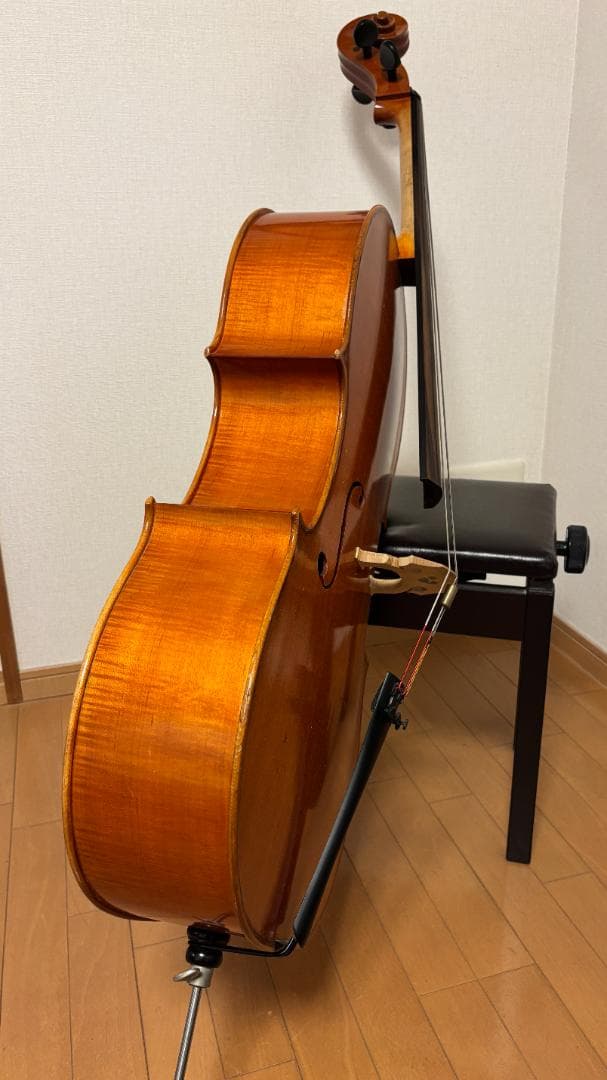 【専用】Pygmalius(ピグマリウス) チェロ ST302