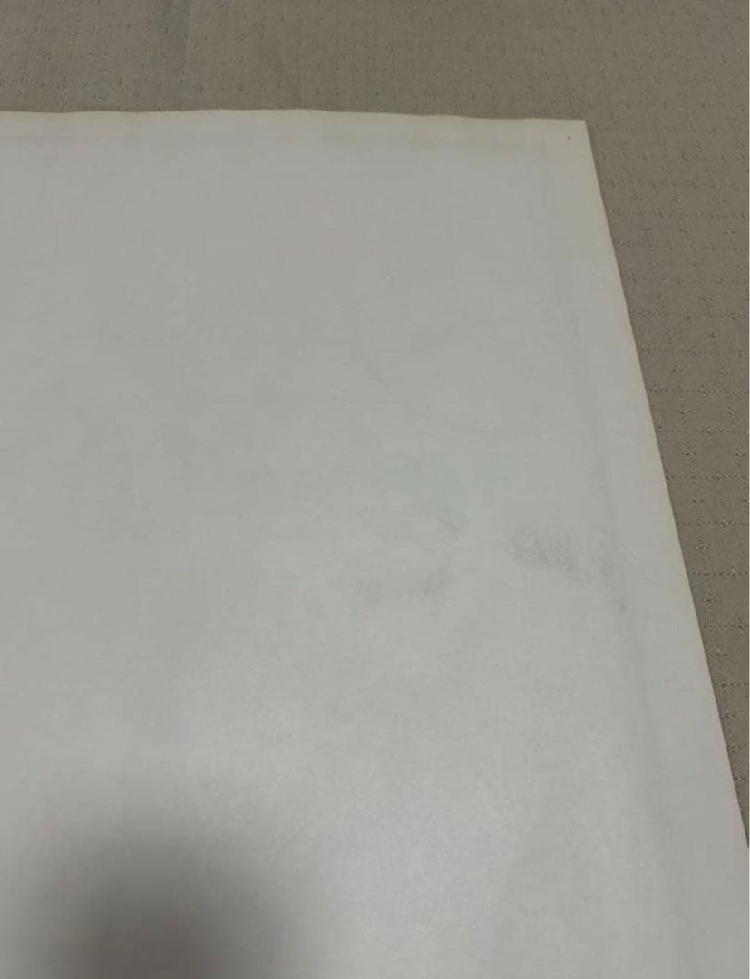 FRANK KOZIK フランク コジック　SONIC YOUTH