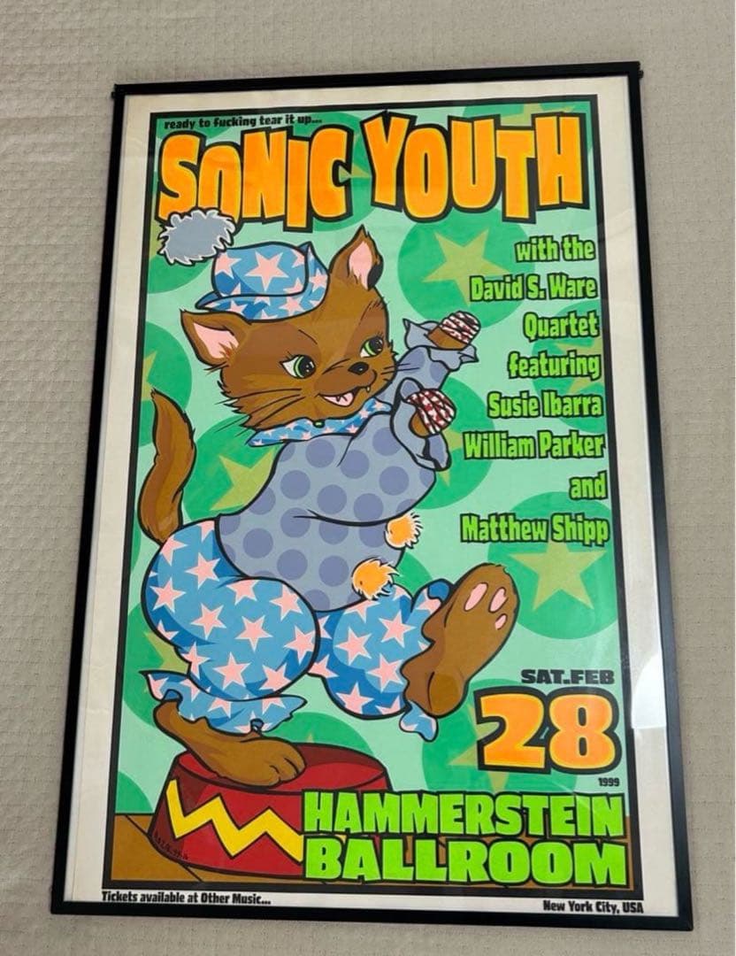 FRANK KOZIK フランク コジック　SONIC YOUTH