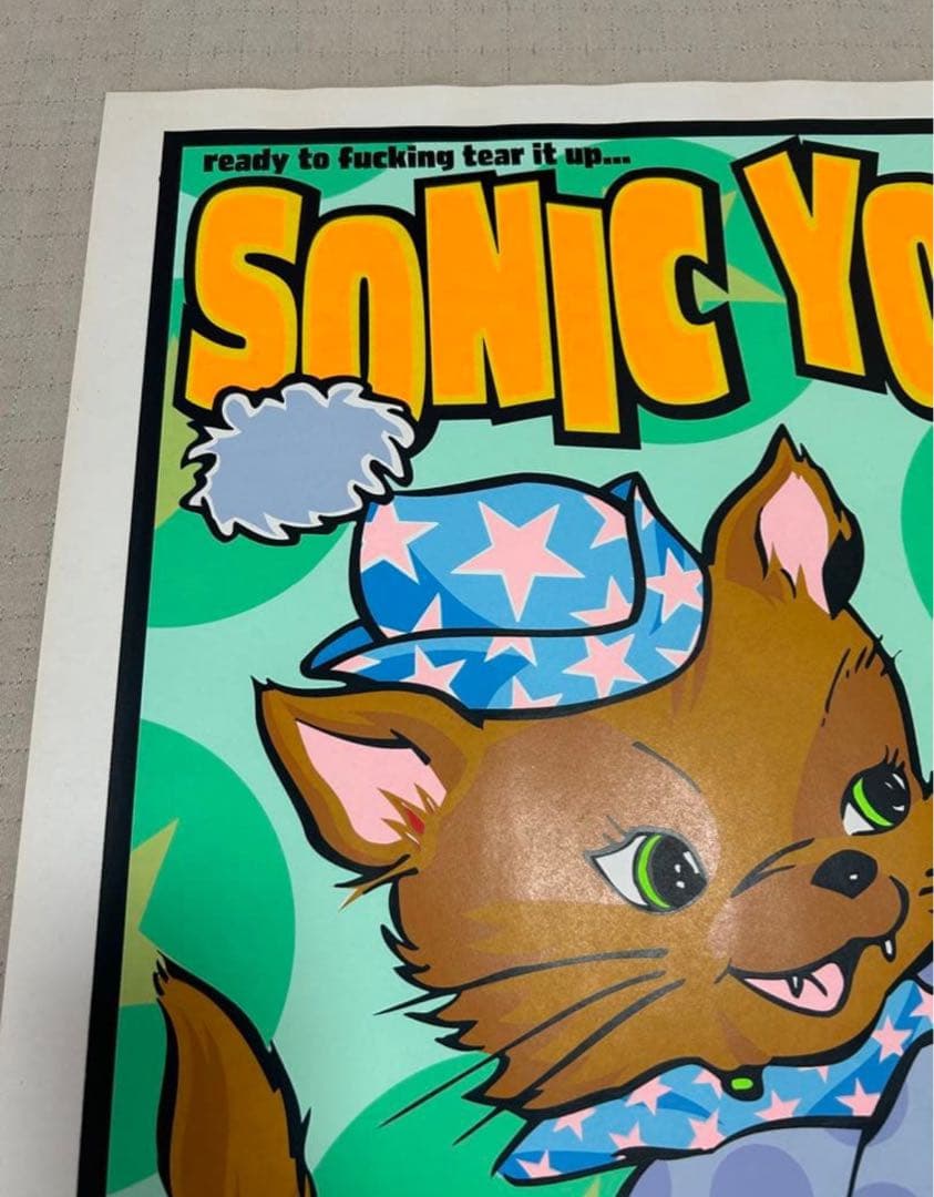 FRANK KOZIK フランク コジック　SONIC YOUTH