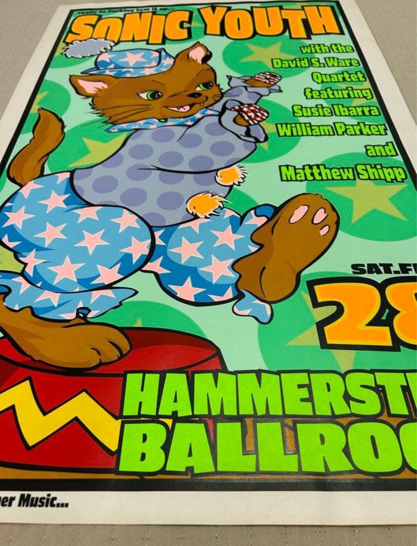 FRANK KOZIK フランク コジック　SONIC YOUTH