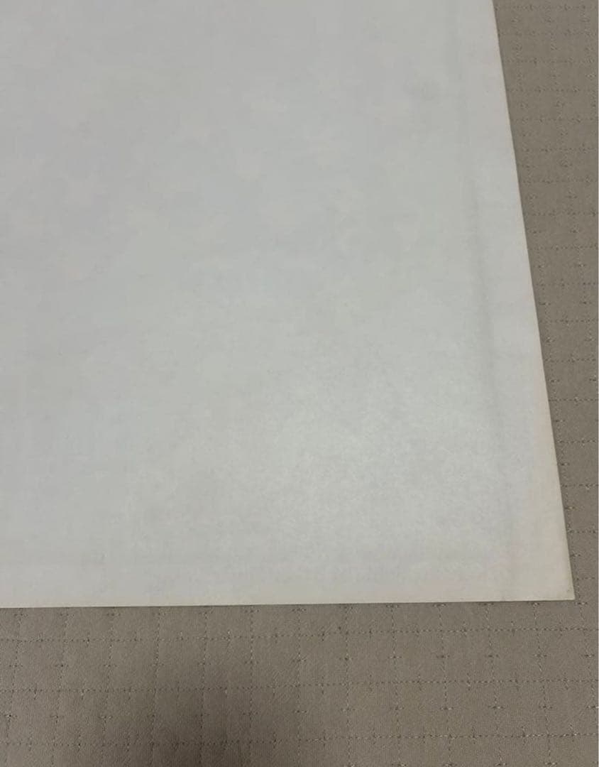 FRANK KOZIK フランク コジック　SONIC YOUTH