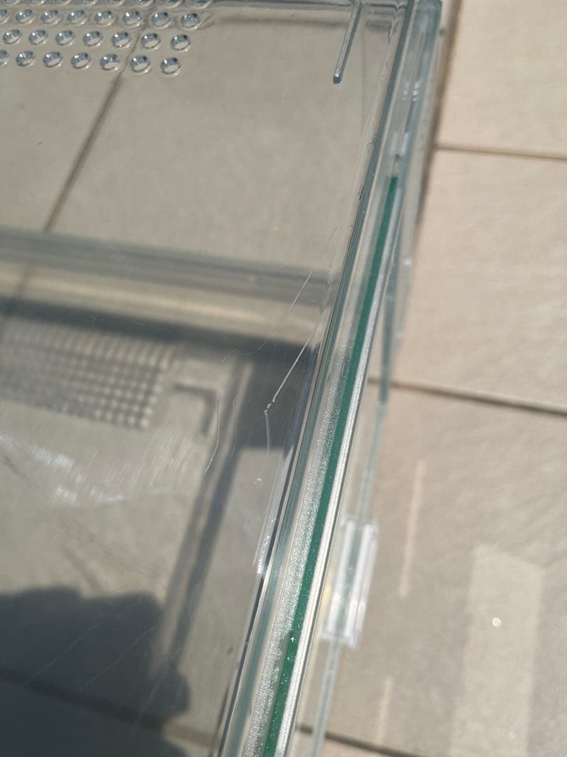 グラスハーモニー600飼育セット