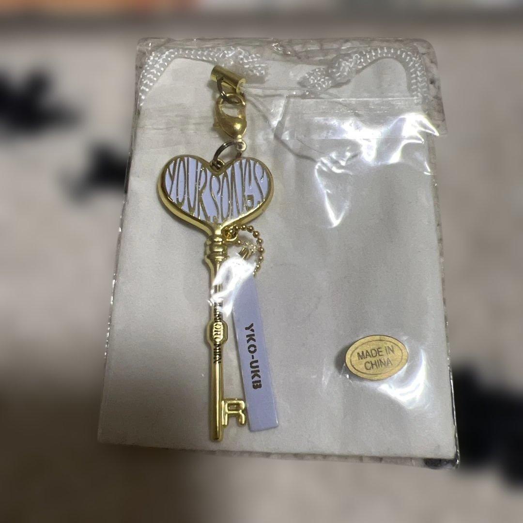 限定値下げレミオロメン 藤巻亮太 サイン色紙 3月9日 歌詞 花鳥風月 写真集