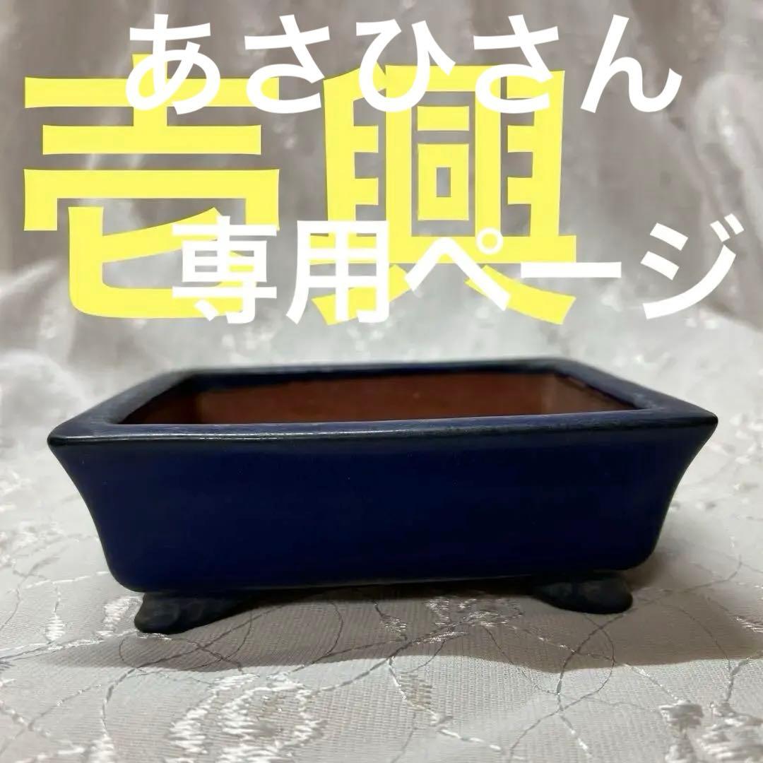 壱興　長方　盆栽鉢