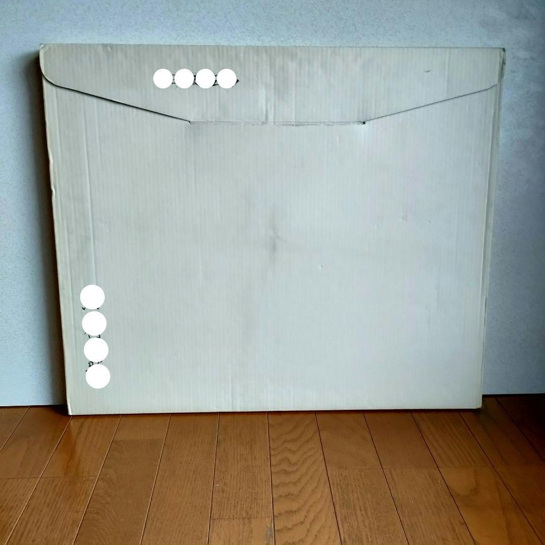 フジカラー アルミ額縁 フォトフレーム A10N 全紙 高級台紙使用 シルバー