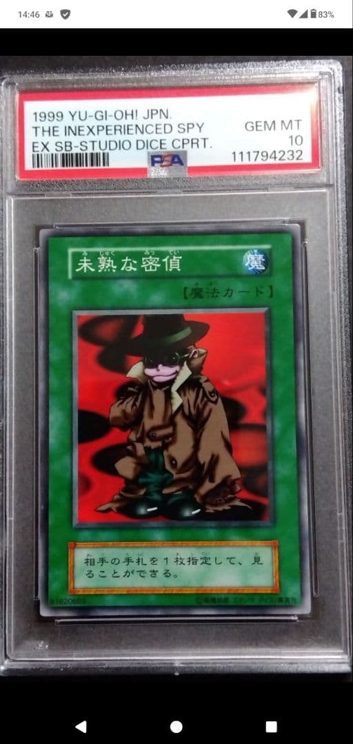 PSA10 岩石の巨兵、破壊ゴーレム、スカイハンター、罠マスター、密偵、自業自得