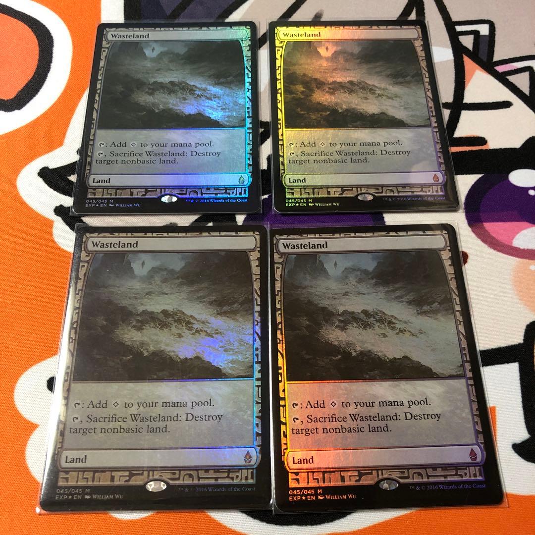 ＭTG　不毛の大地　英語　Foil 　EPX　エクスペディション