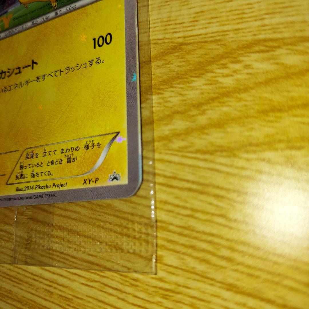 XY-P ピッチのピカチュウ_Jリーグ「ファミリー Joinデイズ」 笑顔版 …