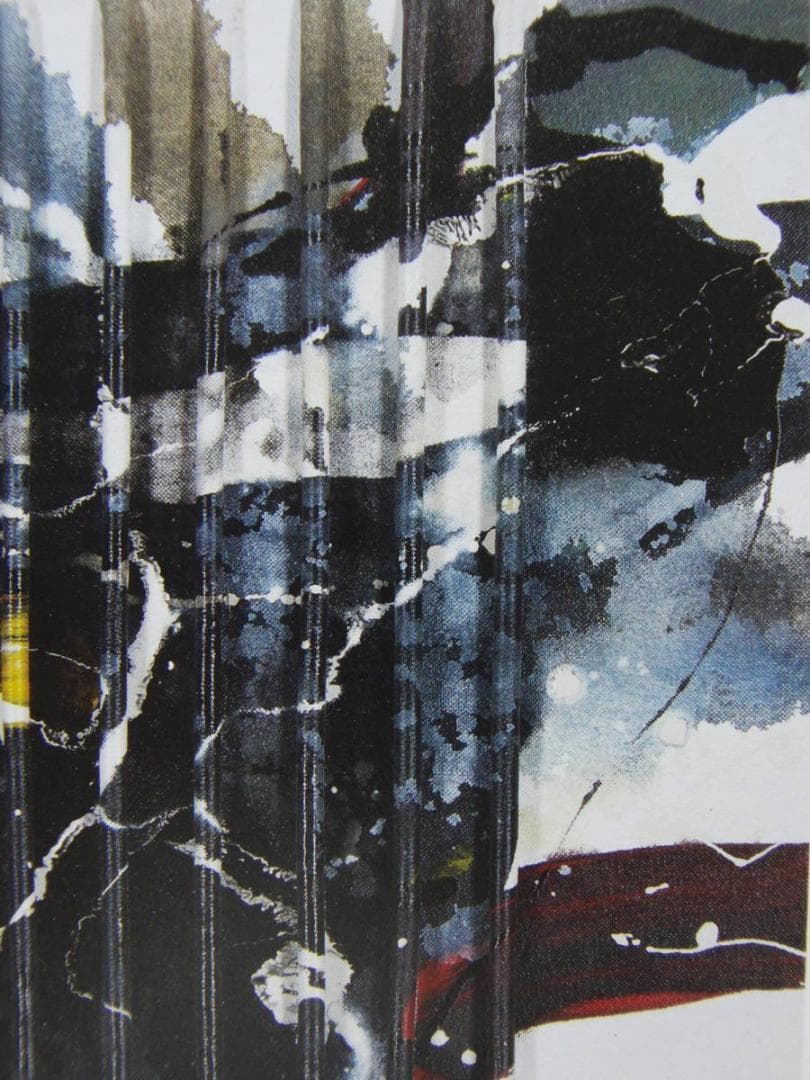 前川 強　２、厳選、希少画集・額装画、新品高級額 額装付、状態良好